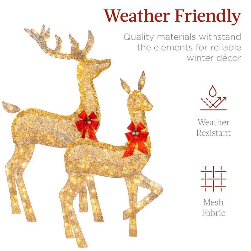 The Holiday Aisle® 3 Piece Christmas Deer Light Display Set & Reviews